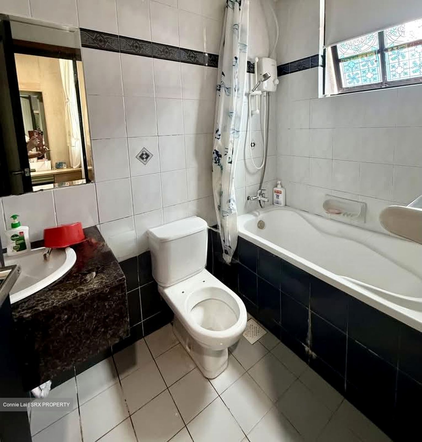 Rosalia Park (D19), Condominium #574763181